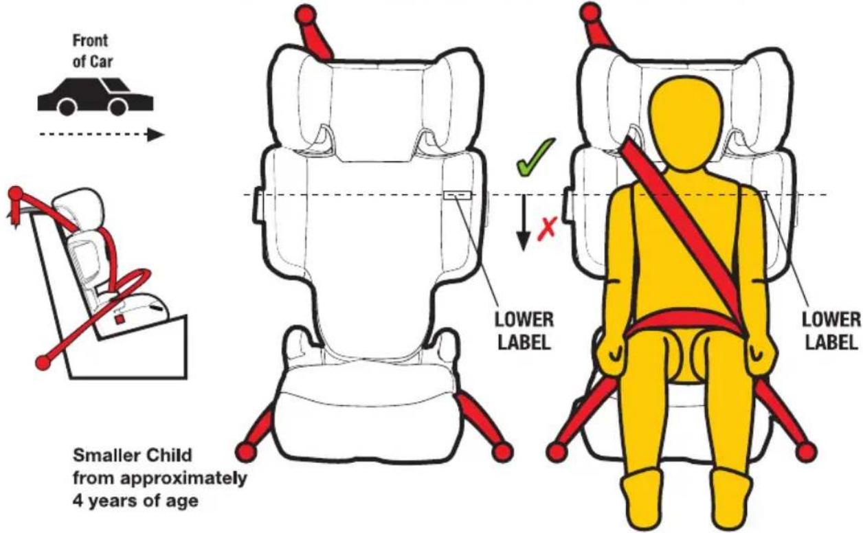 InfaSecure Acclaim Premium - Smaller Child (using lap-sash seatbelt) - 1