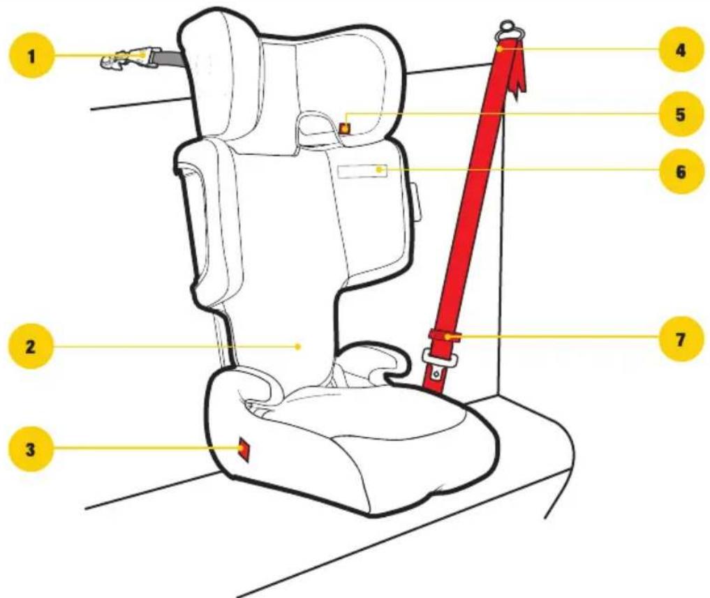 InfaSecure Acclaim Premium - Taller Child (using lap-sash seatbelt) - 3