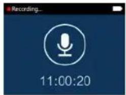 Recording... 11:00:20