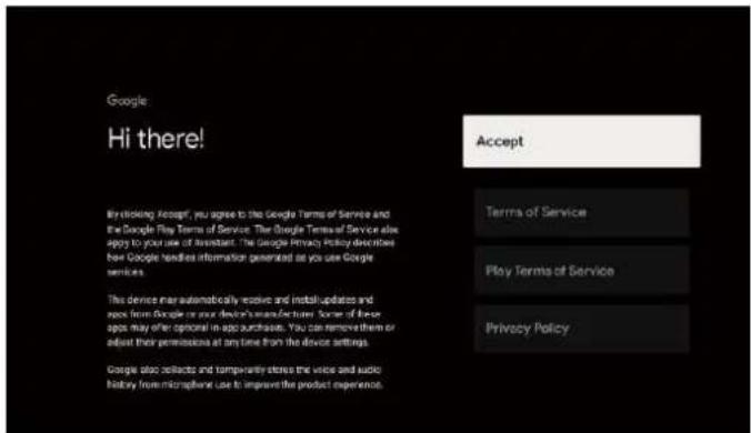 Google: Hi there! Accept My clicking Accept, you agree to the Google Terms of Service and the Google Play Terms of Service. The Google Terms of Service also apply to your use of Assistant. The Google Privacy History described new Google handles information generated as you use Google services. This device may automatically receive and install updates and page from Google or your device's manufacture. Some of these ago may offer optional in apps purchase. You can remove them or adjust their permission at any time from the device settings. Google also collects and temporarily stereo the voice and audio history from microphones use to improve the product experience.