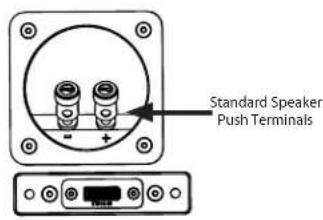 Standard Speaker Push Terminals