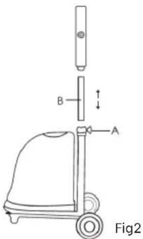 Fig2