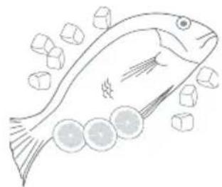 Fisher & Paykel E150RWW - Fish and seafood - 1