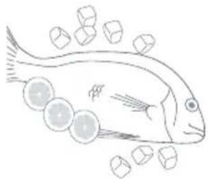 Fisher & Paykel E150RWW - Fish - 1