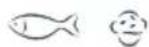 Fisher & Paykel E388RWW - Recommended freezer storage times - 4