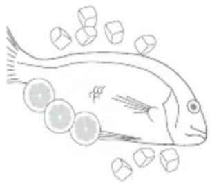 Fisher & Paykel E388RWW - Fish - 1