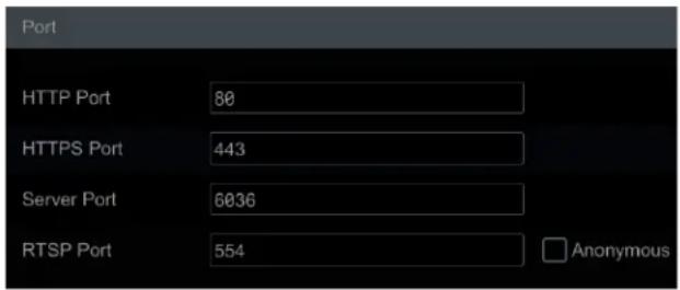 Port HTTP Port 80 HTTPS Port 443 Server Port 6036 RTSP Port 554 Anonymous