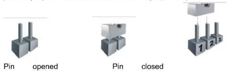 BIOSTAR J3060NH - Jumper Setting - 1