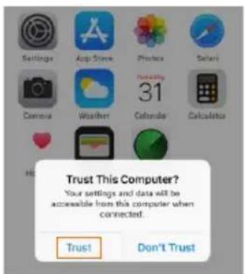 Settings App Store Phone Safari Camera Weather 31 Calendar Calculator Trust This Computer? Your settings and data will be accessible from this computer when connected. Trust Don't Trust