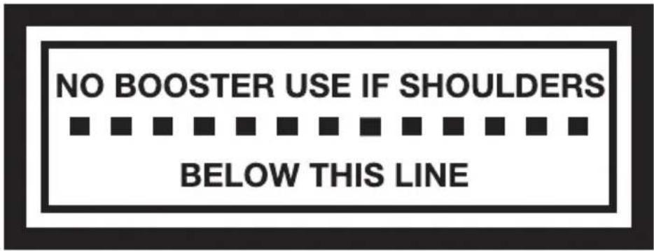InfaSecure Sprinter - Smaller Child (using lap-sash seatbelt) - 2