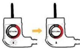 Circuit No Circuit No