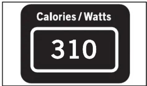 Calories / Watts 310