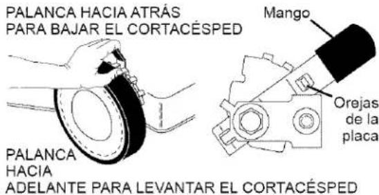 PALANCA HACIA ATRÁS PARA BAJAR EL CORTACÉSPED PALANCA HACIA ADELANTE PARA LEVANTAR EL CORTACÉSPED Mango Orejas de la placa