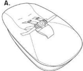 CHICCO Float - Components - 1