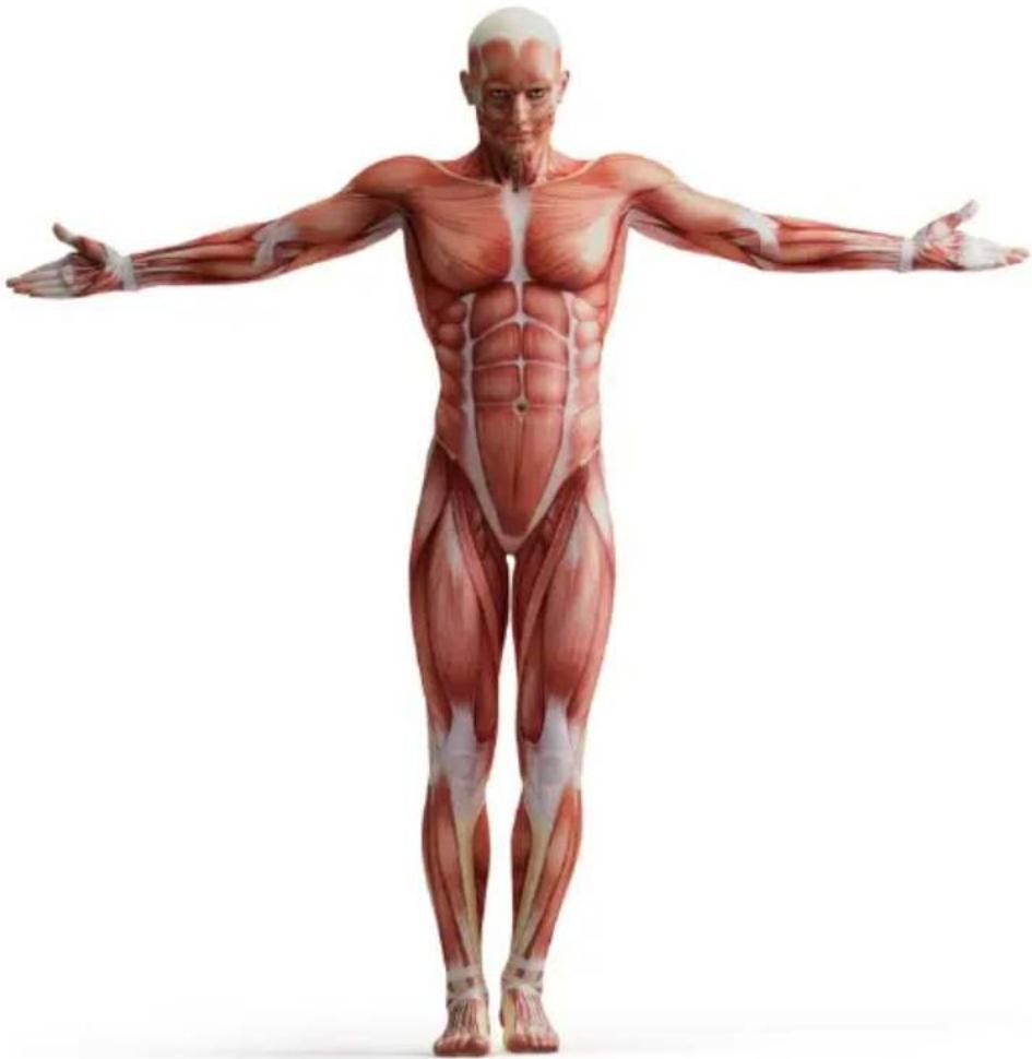 Kogan KACTVMSGUNA - MASSAGE GUIDE - 1