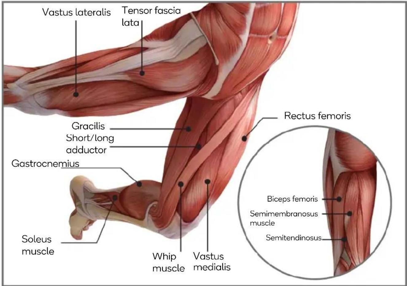Kogan KACTVMSGUNA - MASSAGE GUIDE - 9