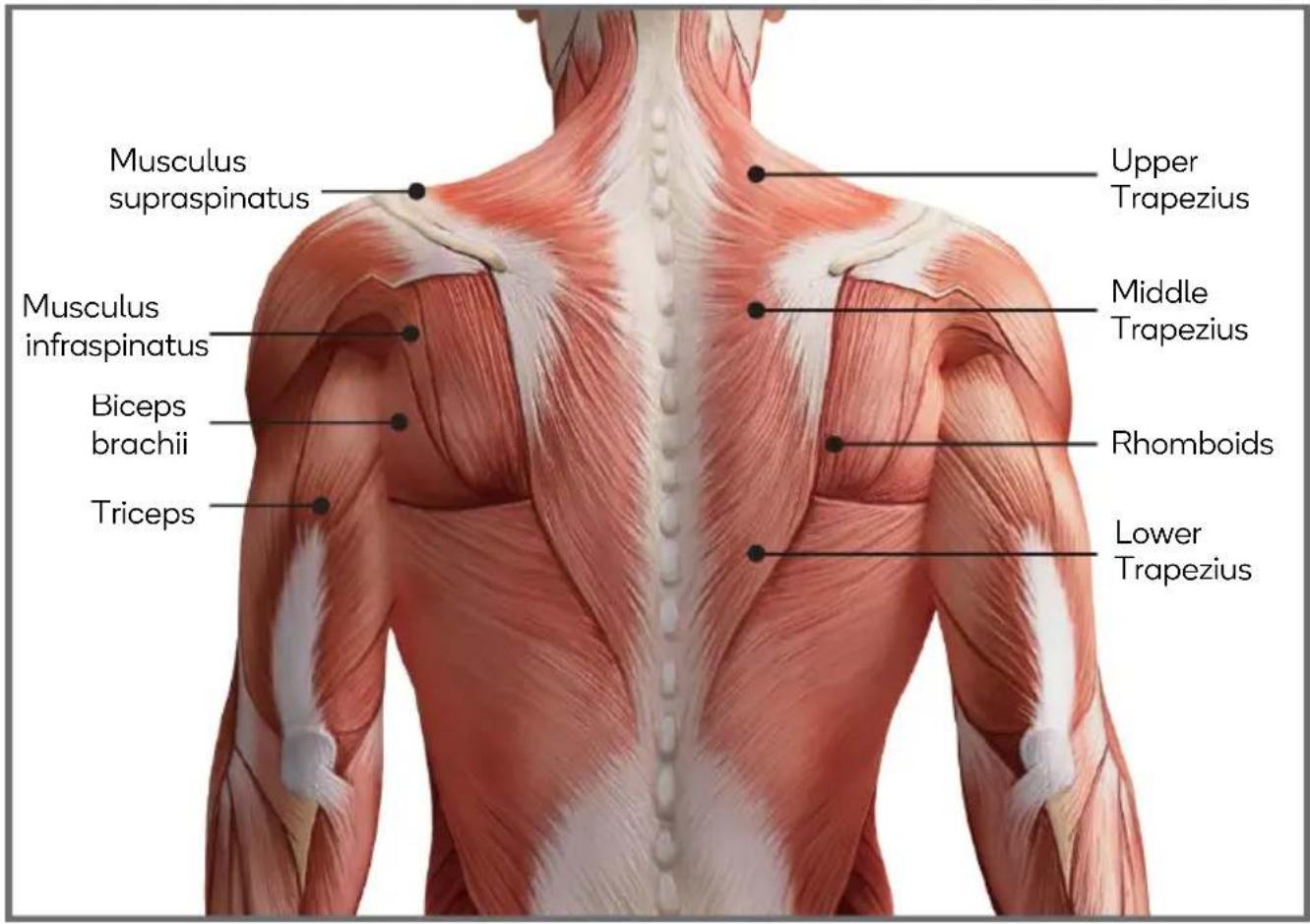 Kogan KACTVMSGUNA - MASSAGE GUIDE - 7