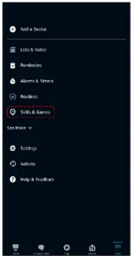 Add a Device Lists & Notes Reminders Alarms & Timers Routines Skills & Games See More > Settings Activity Help & Feedback