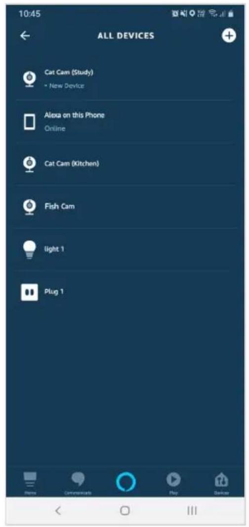 10:45 ALL DEVICES Cat Cam (Study) • New Device Alexa on this Phone Online Cat Cam (Kitchen) Fish Cam light 1 Plug 1