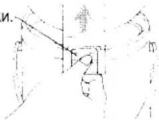 M.