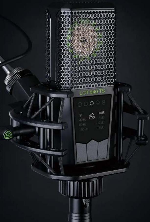 LCT 640 TS In 0dB 40 Hz -6 dB 80 Hz -12 dB 160 Hz -18 dB