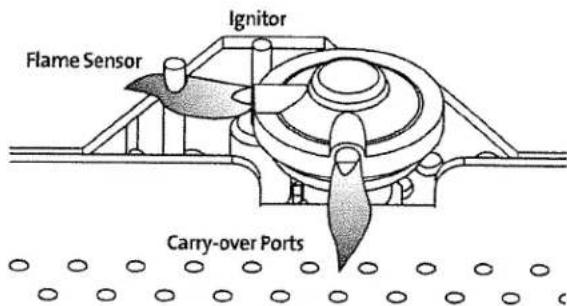 Ignitor Flame Sensor Carry-over Ports