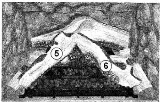 Diagram showing a geological or structural cross-section with numbered annotations (5 and 6) indicating specific features or regions.