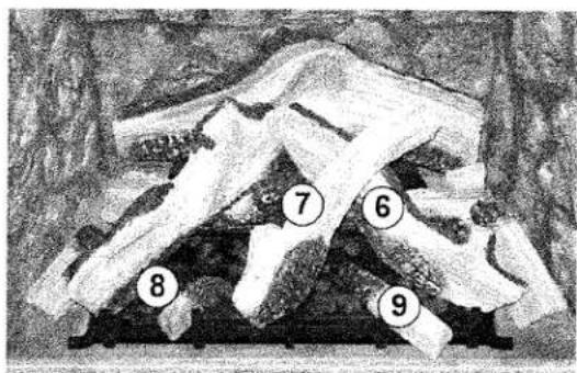Black-and-white photo of a rock formation with numbered labels pointing to specific structures.