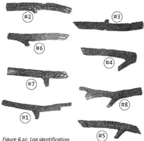 #2 #3 #6 #4 #7 #8 #1 #5 Figure 6.20 Log identification.