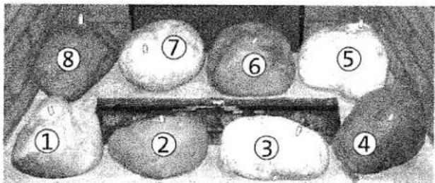 Diagram showing numbered circular objects arranged in a grid-like pattern, possibly illustrating a physical or engineering concept.