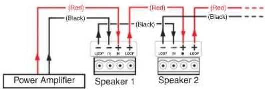 Extron CS 123T - - Wiring Multiple Speakers Using Loop-through: - 1