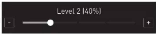 Level 2 (40%)