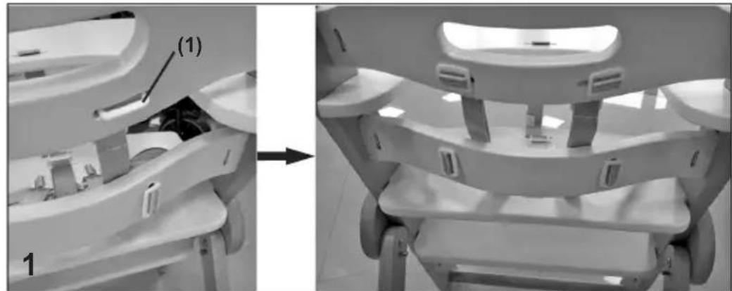Chipolino Cacao - RESTRAINT SYSTEM (5-point safety belt) - 1