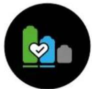 DYSON Outisze - Battery health - 1