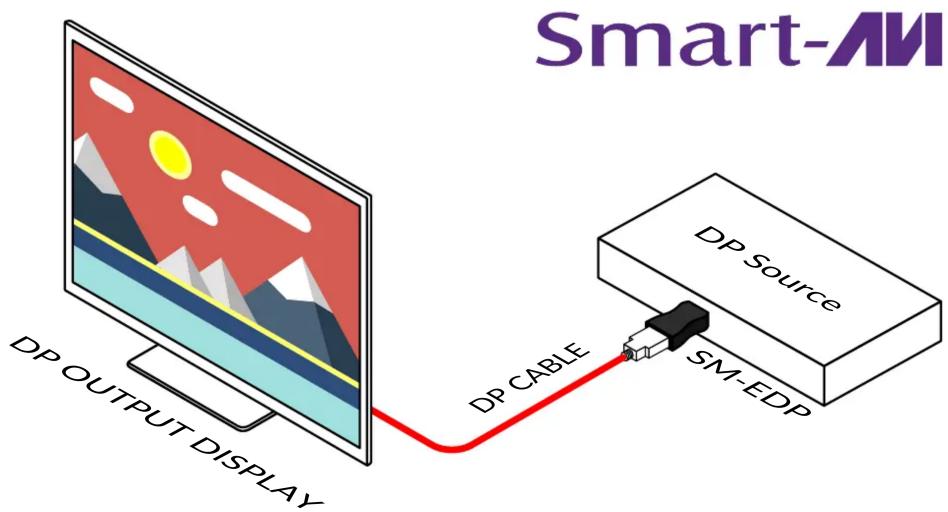 Smart-AM DP OUTPUT DISPLAY DP CABLE DP Source SM-EDP