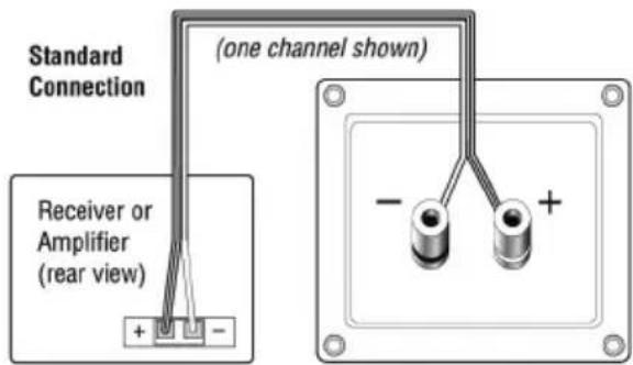 Standard Connection Receiver or Amplifier (rear view) (one channel shown) - +