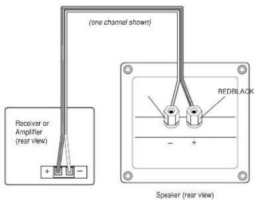 (one channel shown) Receiver or Amplifier (rear view) + - REDBLACK Speaker (rear view)