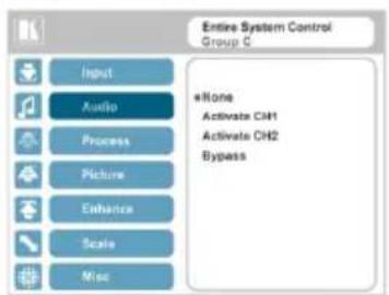 Entire System Control Group C Input Audio Process Picture Enhance Scale Misc None Activate CH1 Activate CH2 Bypass
