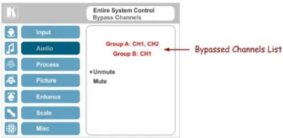 Entire System Control Bypass Channels Input Audio Process Picture Enhance Scale Misc Group A: CH1, CH2 Group B: CH1 = Unmute Mute Bypassed Channels List
