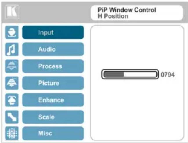 PiP Window Control H Position Input Audio Process Picture Enhance Scale Misc 0794