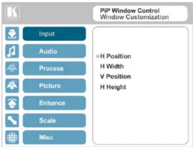PiP Window Control Window Customization Input Audio Process Picture Enhance Scale Misc ■H Position H Width V Position H Height