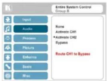 Entire System Control Group B Input Audio Process Picture Enhance Scale Misc None Activate CH1 *Activate CH2 Bypass Route CH1 to Bypass