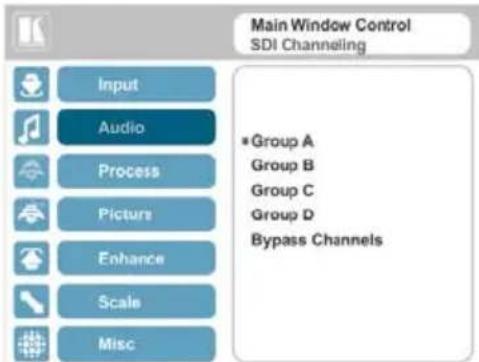 Main Window Control SDI Channeling Input Audio Process Picture Enhance Scale Misc *Group A Group B Group C Group D Bypass Channels