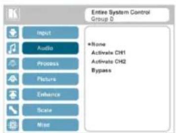 Entire System Control Group D Input Audio Process Picture Enhance Scale Need *None Activate CH1 Activate CH2 Bypass