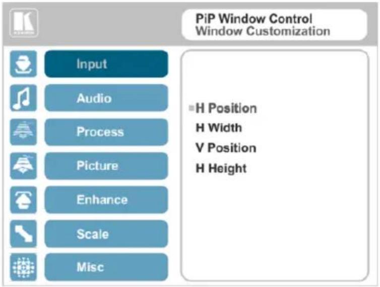 PiP Window Control Window Customization Input Audio Process Picture Enhance Scale Misc ■H Position H Width V Position H Height