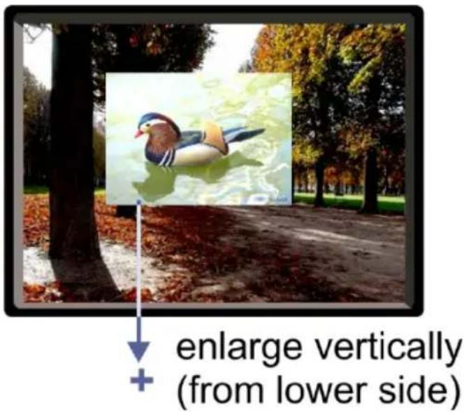 enlarge vertically (from lower side)