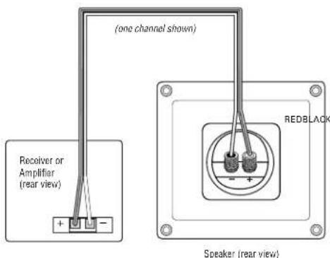 (one channel shown) Receiver or Amplifier (rear view) + - REDBLACK Speaker (rear view)