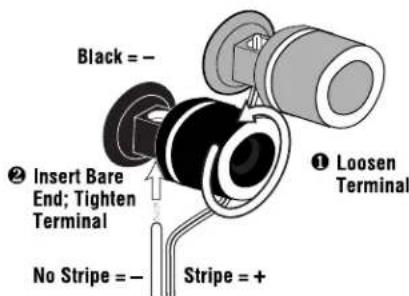 Black = - ② Insert Bare End; Tighten Terminal No Stripe = - Stripe = + ① Loosen Terminal