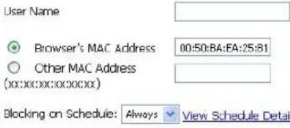 User Name Browser's MAC Address 00:50:BA:EA:25:81 Other MAC Address (xx:xx:xx:xx:xx:xx) Blocking on Schedule: Always View Schedule Detail