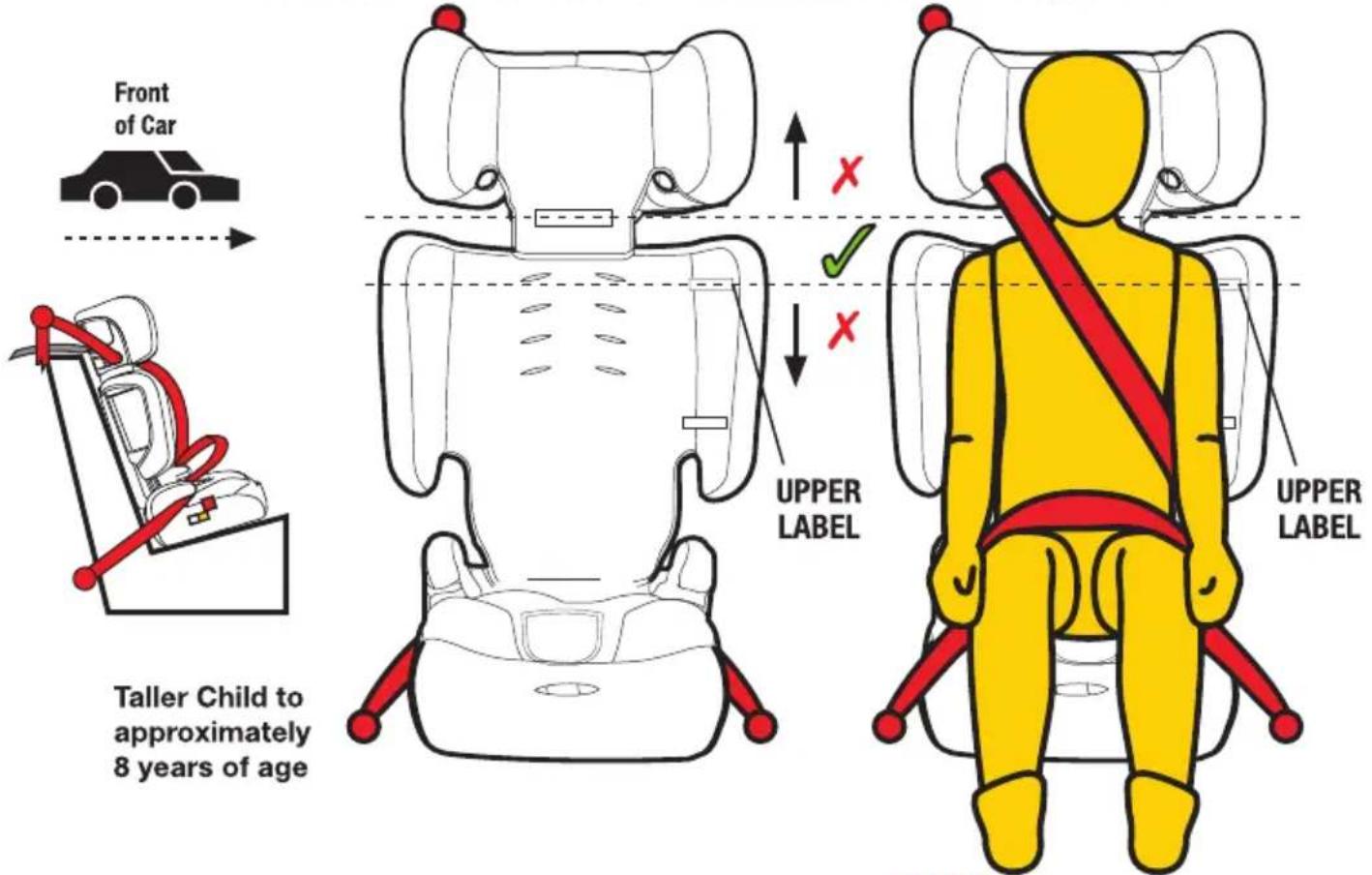 InfaSecure Dash Move - Taller Child (using lap-sash seatbelt) - 1